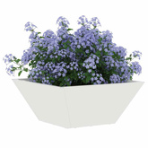 Doniczka ogrodowa 5 pcs Biały 35 x 35 x 15 cm Stal zimnogięta