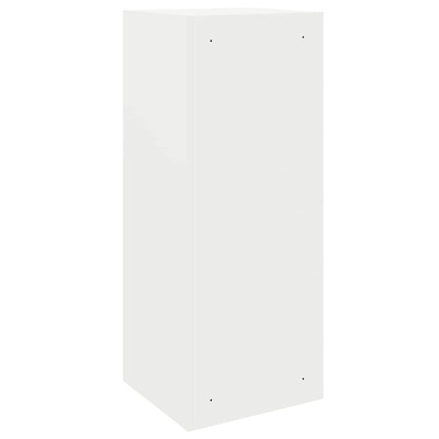 Skrzynka na przesyłki z drzwiami Biały 41 x 38 x 103 cm Stal