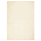 vidaXL Dywan HUARTE z krótkim włosiem, kremowy, 240x340 cm