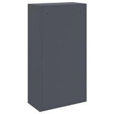 Skrzynka na przesyłki z drzwiami Antracyt 44 x 22 x 82 cm Stal