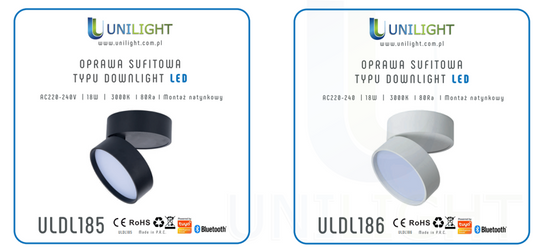 OPRAWA SUFITOWA TUBA DOWNLIGHT URBAN SMART SCIEMNIALNA