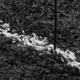 vidaXL Dywan z długim włosiem PAMPLONA, czarno-kremowy, Ø 120 cm