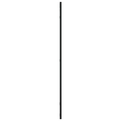 vidaXL Lustro ścienne, czarne, 50x100 cm, prostokątne, żelazo
