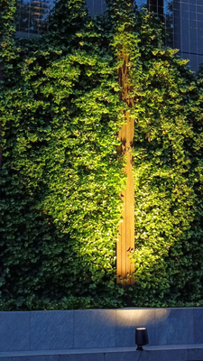 Reflektor zewnętrzny BB-146