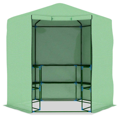 Szklarnia z półkami, stal, 227x223 cm