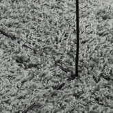 vidaXL Dywan z długim włosiem PAMPLONA, zielony, Ø 280 cm