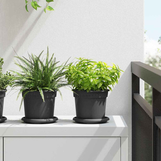 Okrągły Talerzyk Kwiatowy 24 pcs Czarny ? 14 x 2 cm