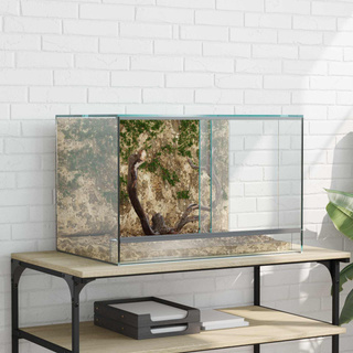 Terrarium z przechowywaniem przezroczysty 60 x 40 x 40 cm Szkło