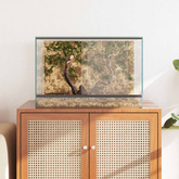 Terrarium z przechowywaniem przezroczysty 60 x 40 x 40 cm Szkło