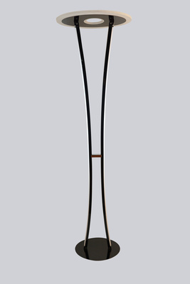 Lampa podłogowa ARNAS 3067-302