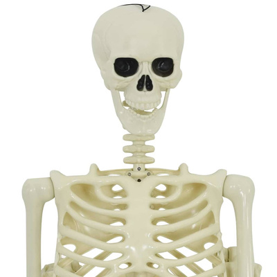 Dekoracja Halloween Szkielet 2 pcs Biały polipropylen