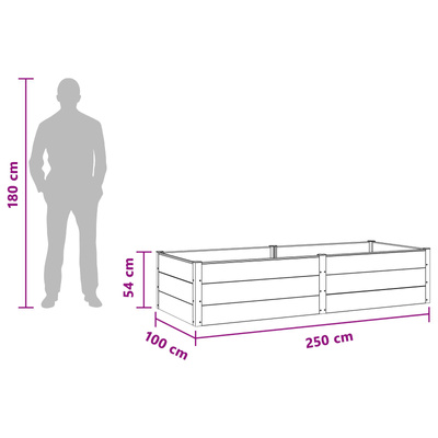 Podniesiona rabata ogrodowa Czarny 250 x 100 x 54 cm