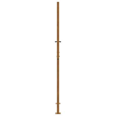 Brama ogrodowa 100x200 cm Stal nierdzewna Wzór płomienia