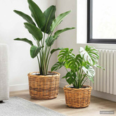 Kosz na rośliny 2 szt. Naturalny Brąz Rattan Kubu