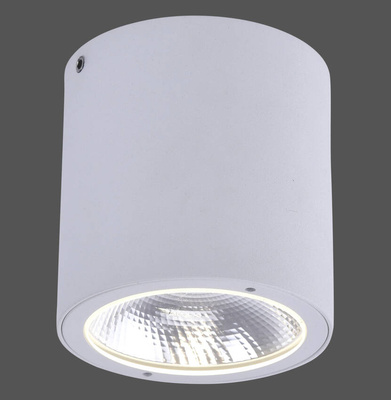 9673-16 GEORG CEILING LIGHT, WHITE