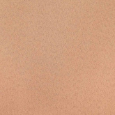 Firany blackout z kółkami 2 pcs Jasny Brąz 225 x 140 cm