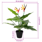 Sztuczna roślina Strelitzia zielony 65 x 13 x 55 cm