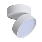 OPRAWA SUFITOWA TUBA DOWNLIGHT URBAN SMART SCIEMNIALNA ULDL186 BIALY