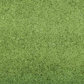 Dywanik wejściowy Zielony i Czarny 120 x 250 cm Poliamid i PVC