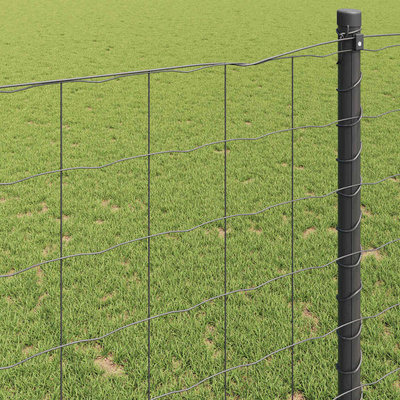 Ogrodzenie Euro 0,6 x 10 m Żelazo pokryte PVC Szary