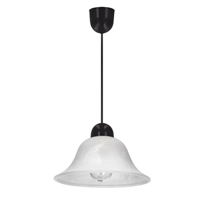 LENIS lampa wisząca czarny 1x60W E27 klosz biały