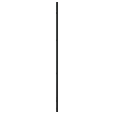 vidaXL Lustro ścienne, czarne, 50x100 cm, prostokątne, żelazo