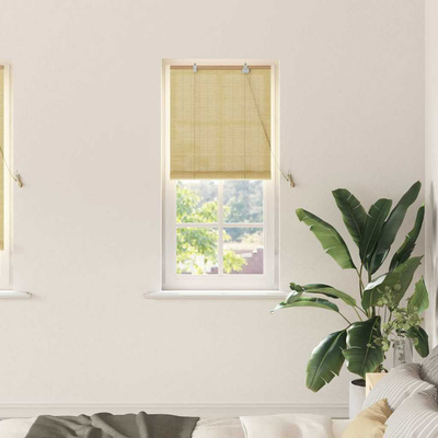 Roleta natura 60 x 220 cm Bambus