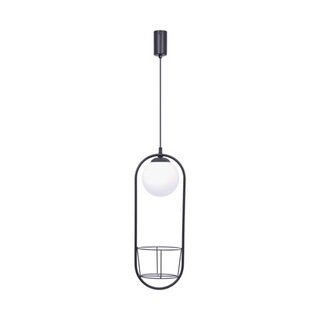 5003 PLANT 1 PENDANT LAMP