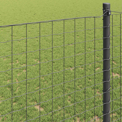 Ogrodzenie Euro 1 x 10 m Żelazo pokryte PVC Szary