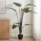 Sztuczna roślina Strelitzia zielony 70 x 18 x 155 cm