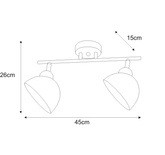 Lampa sufitowa K-JSL-1306/2W z serii HORNET KAJA