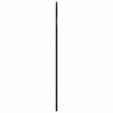 vidaXL Lustro ścienne, czarne, 80x100 cm, zakończone łukiem, żelazo