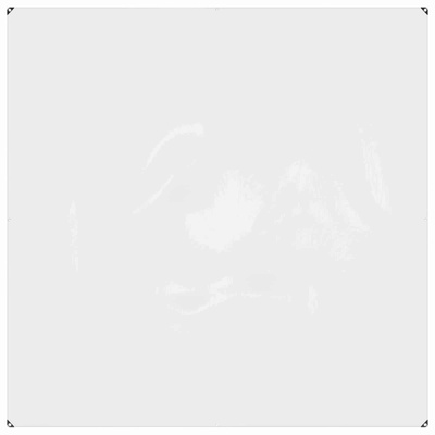 Osłona na rośliny przezroczysty 2 x 2 m PVC