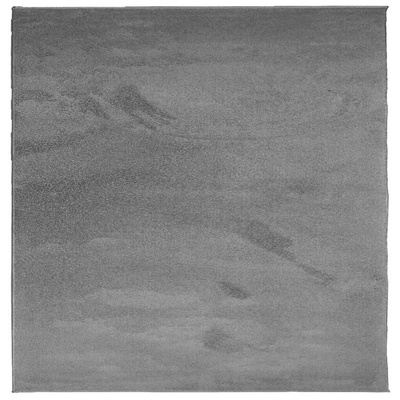 vidaXL Dywan OVIEDO z krótkim włosiem, antracytowy, 120x120 cm