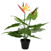 Sztuczna roślina Strelitzia zielony 65 x 13 x 55 cm