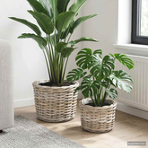 Kosz na rośliny 2 szt. Naturalna szarość Rattan Kubu