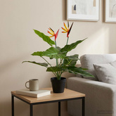Sztuczna roślina Strelitzia zielony 65 x 13 x 55 cm