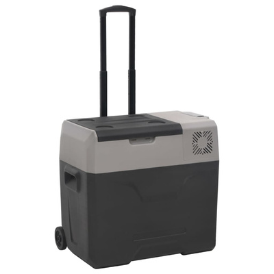 Lodówka na kółkach, z zasilaczem, czarno-szara, 50 L, PP