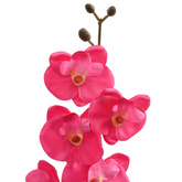 Sztuczna Roślina Orchidei czerwony 36 x 10 x 30 cm