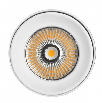 OPRAWA SUFITOWA DOWNLIGHT TUBA - NEUTRALNA BARWA - 30W
