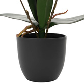Sztuczna Roślina Orchidei czerwony 36 x 10 x 30 cm