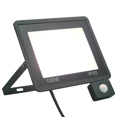 Reflektor LED z czujnikiem, 100 W, zimne białe światło