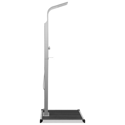 Prysznic ogrodowy z podstawą, WPC, stal nierdzewna