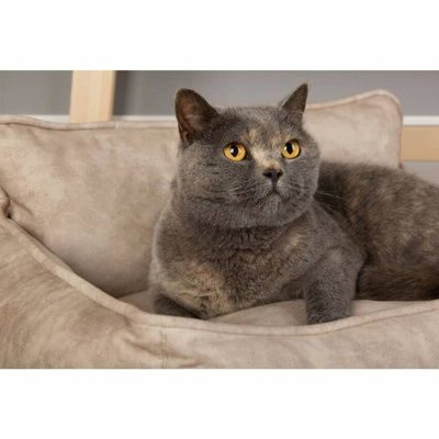 Scruffs & Tramps Legowisko dla psa Kensington, L, 90x70 cm, kremowe