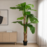 Sztuczna palma bananowa zielony 125 x 25 x 250 cm