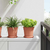Okrągły Talerzyk Kwiatowy 6 pcs Czerwony ceglasty ? 14 x 2 cm
