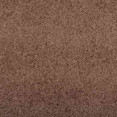 Dywanik wejściowy Brązowy i czarny 120 x 350 cm 100% poliamid