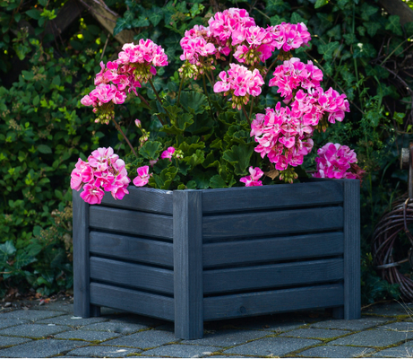 Donica drewniana antracyt W25/S38/D38
