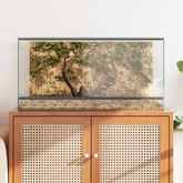 Terrarium z przechowywaniem przezroczysty 80 x 40 x 40 cm Szkło