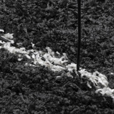 vidaXL Dywan z długim włosiem PAMPLONA, czarno-kremowy, 120x120 cm